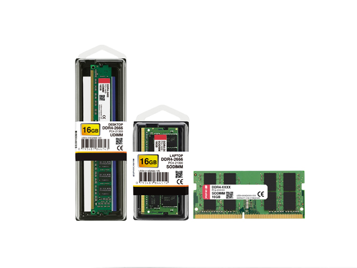RAM Memory Module